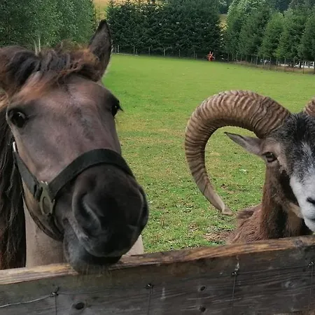 Janowa Gora * Stronie Śląskie